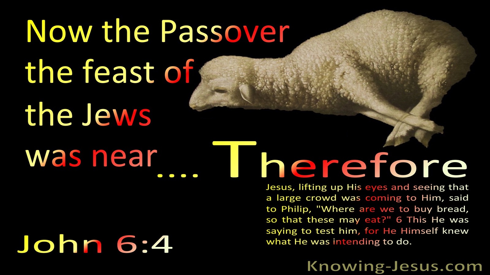 John 6:4 The Feast Of The Jews : The Passover Was Near (black)